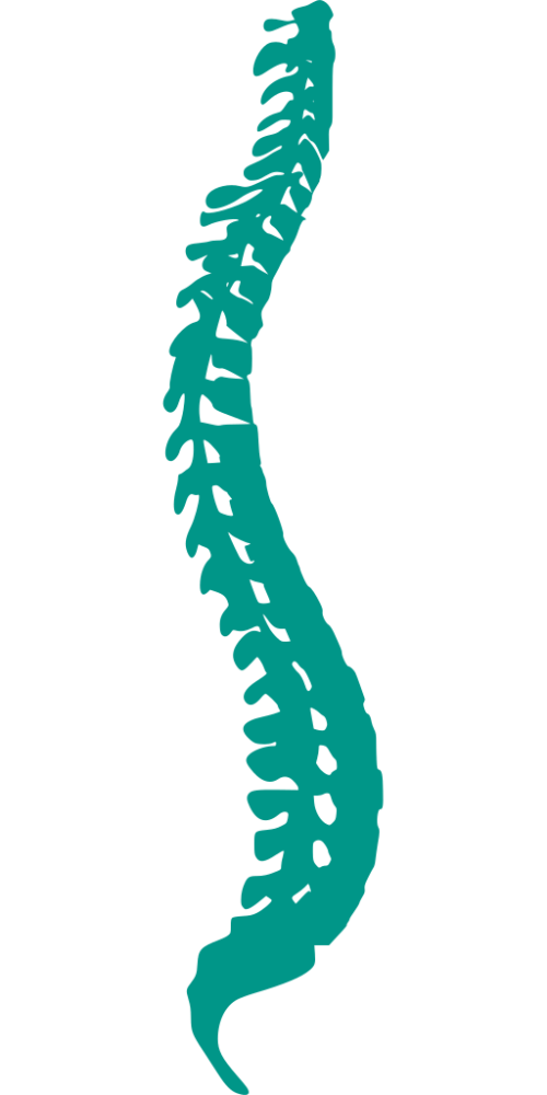 Chiropractor in Mount Prospect for back pain treatment